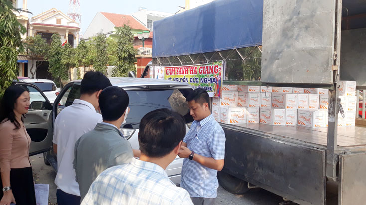 Hội Nông dân tỉnh kết nối "giải cứu" hơn 20 tấn cam sành Hà Giang