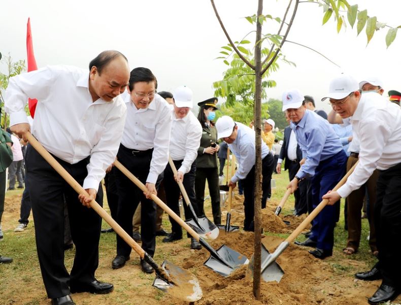 Thủ tướng dự lễ hưởng ứng chương trình trồng 1 tỷ cây xanh