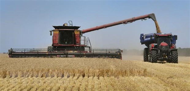 WTO thành lập hội đồng trọng tài xử lý tranh chấp Australia-Trung Quốc