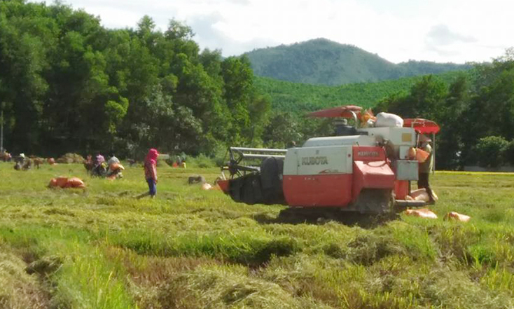 Ứng dụng tiến bộ khoa học trong phát triển kinh tế-xã hội