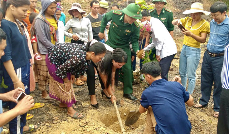 Ra quân triển khai đề án hỗ trợ trồng cây giổi ghép lấy hạt cho vùng ĐBDTTS