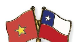 Trao đổi điện mừng nhân dịp 50 năm quan hệ ngoại giao Việt Nam-Chile