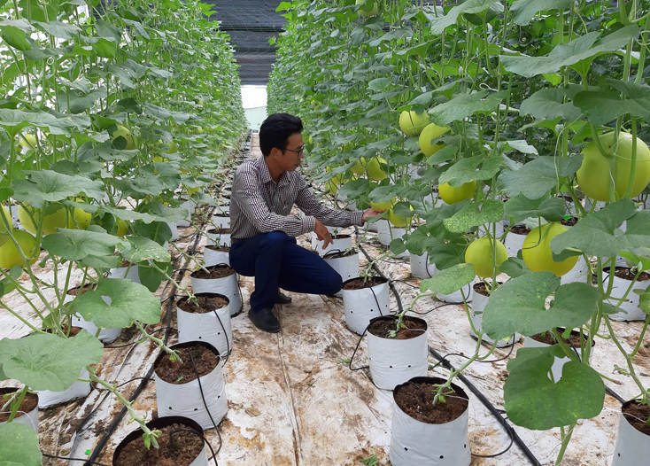Phát huy vai trò "người đại biểu dân cử"