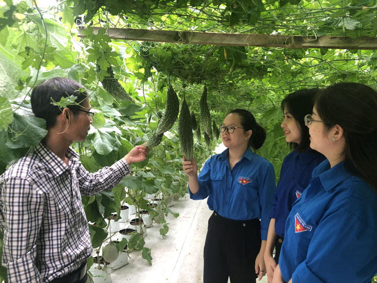 20 năm đồng hành cùng thanh niên