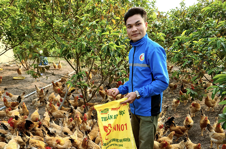Thanh niên khởi nghiệp từ nông nghiệp