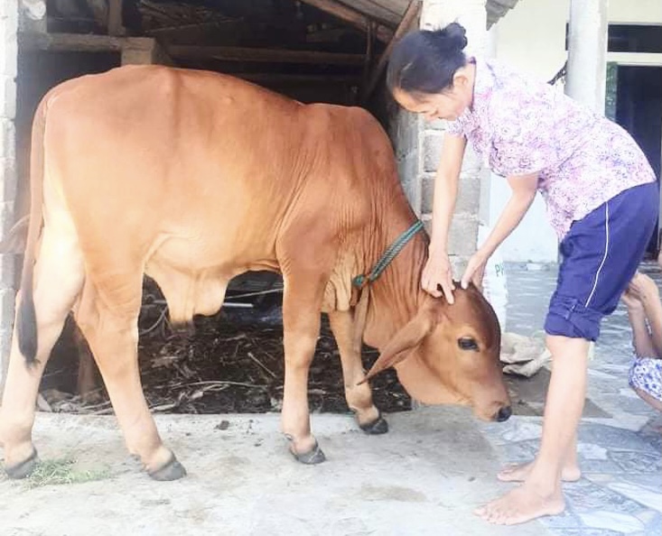 Tạo sinh kế cho người mù trên địa bàn toàn tỉnh