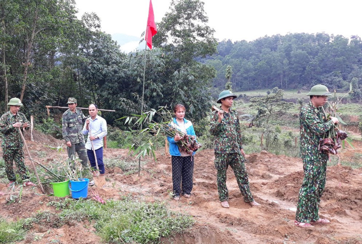 Hỗ trợ đồng bào Bru-Vân Kiều trồng tre lấy măng