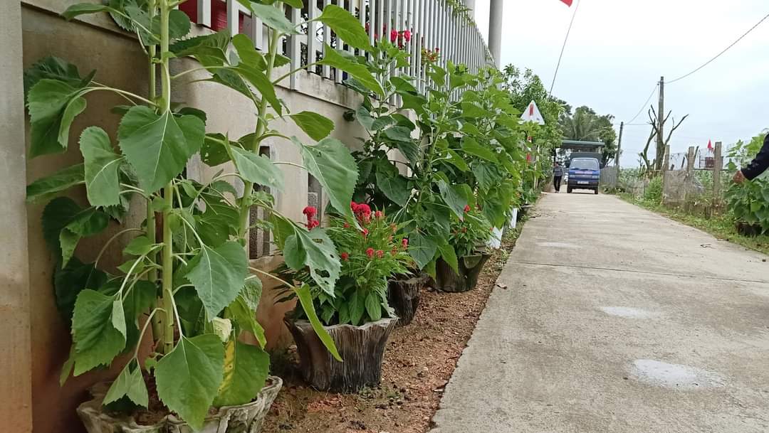 Rực rỡ "Đường hoa nông thôn mới kiểu mẫu"