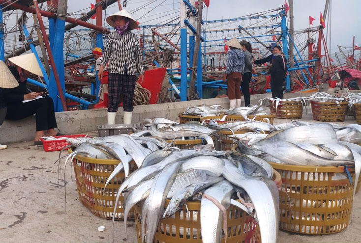 Mặn mòi vị biển