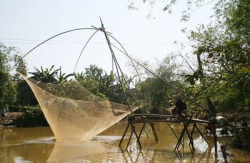 Tháng ba đi cất tép đồng