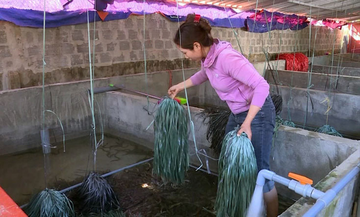Phụ nữ Quảng Trạch thi đua phát triển kinh tế