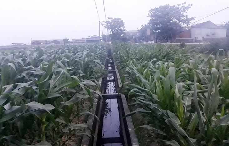 Chuyện quản lý: Phát triển thủy lợi gắn với giá trị gia tăng ngành nông nghiệp