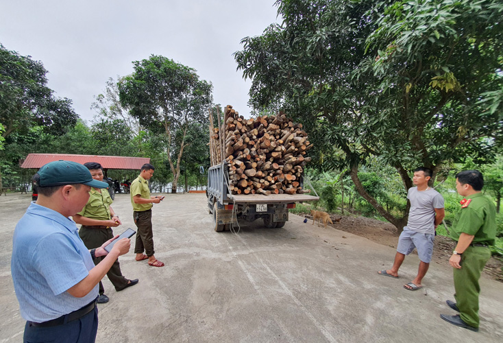Điều tra vụ phá rừng phòng hộ trên địa bàn huyện