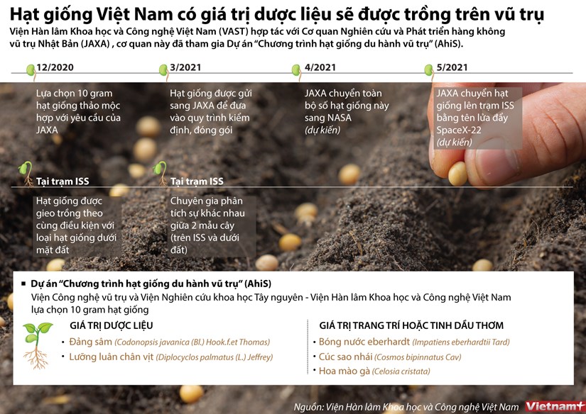[Infographics] Hạt giống dược liệu của Việt Nam được trồng trên vũ trụ