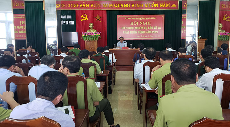 Tăng cường công tác quản lý, bảo vệ và phát triển rừng