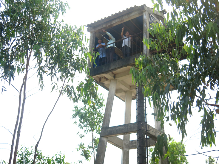 Chủ động phòng cháy, chữa cháy rừng trong mùa khô