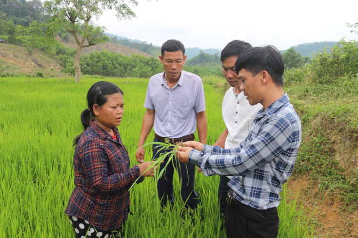 Tăng thêm sức mạnh cho chi bộ Đảng miền núi: Kỳ 2: Khi chi bộ Đảng được "chắp cánh"