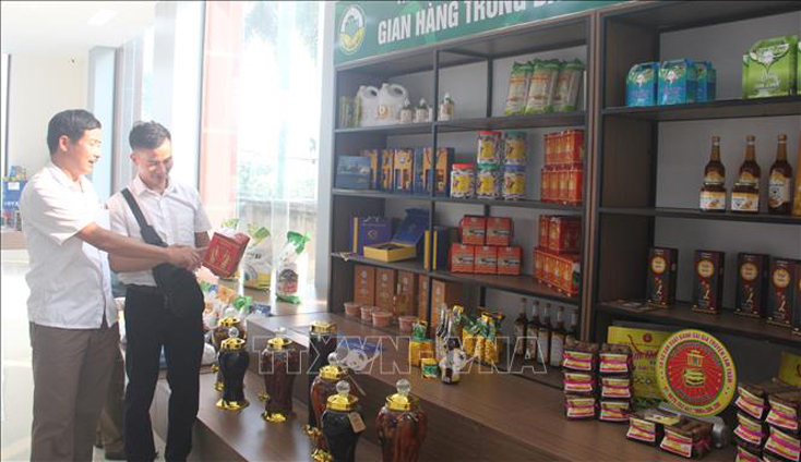 Huyền Thọ Xuân, tỉnh Thanh Hoá: Hỗ trợ và thưởng đến 100 triệu đồng cho sản phẩm đạt OCOP