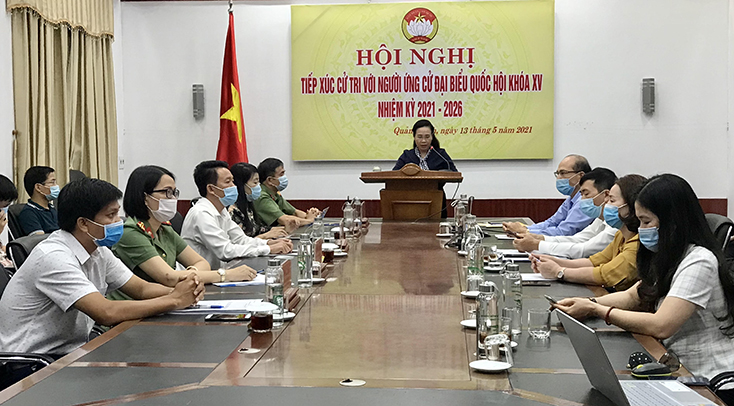 Hội nghị trực tuyến tiếp xúc giữa cử tri với ứng cử viên đại biểu Quốc hội khóa XV