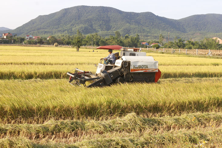 Nông dân phấn khởi vì được mùa