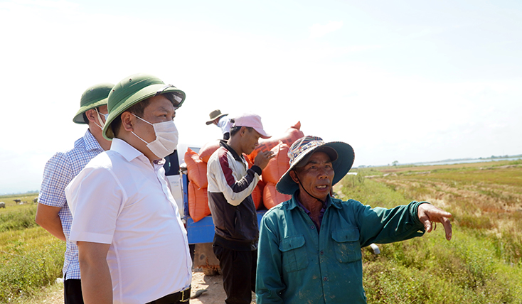 Đồng chí Bí thư Tỉnh ủy kiểm tra tình hình sản xuất nông nghiệp tại Quảng Ninh và Lệ Thủy