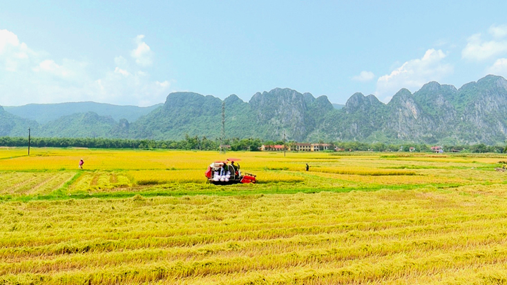 "Thắng lợi kép" vụ đông-xuân