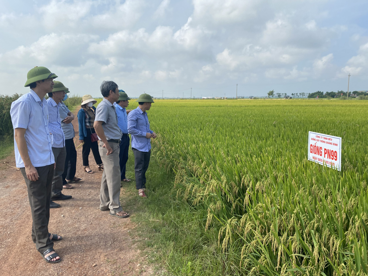 Chú trọng phát triển Đảng trong doanh nghiệp tư nhân