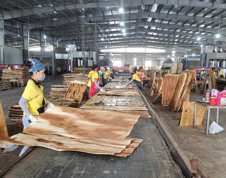 Tăng cường phòng, chống dịch bệnh Covid-19 tại các khu công nghiệp, khu kinh tế