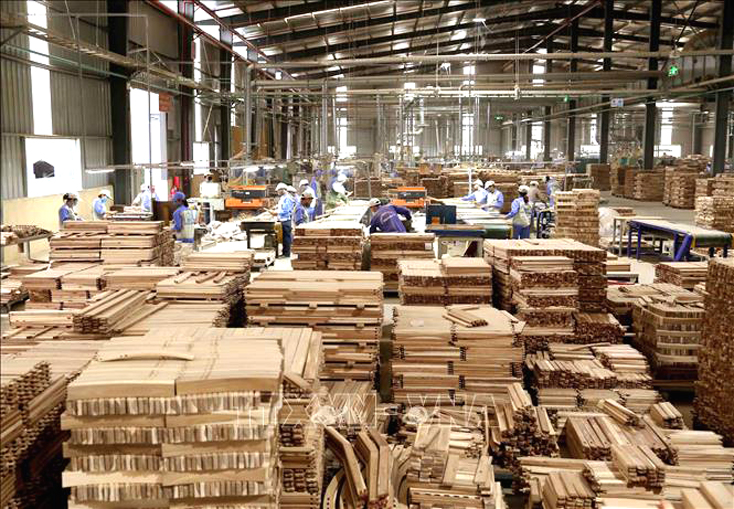 Ngành gỗ hướng đến minh bạch từ nguồn