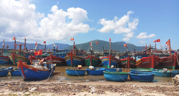 Chống khai thác IUU: Vẫn còn lắm khó khăn