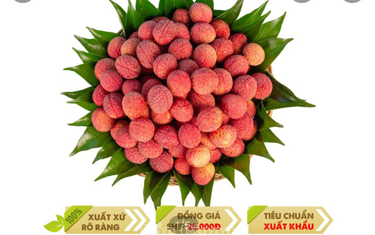 Các sàn thương mại điện tử lớn đồng loạt mở bán vải thiều Bắc Giang