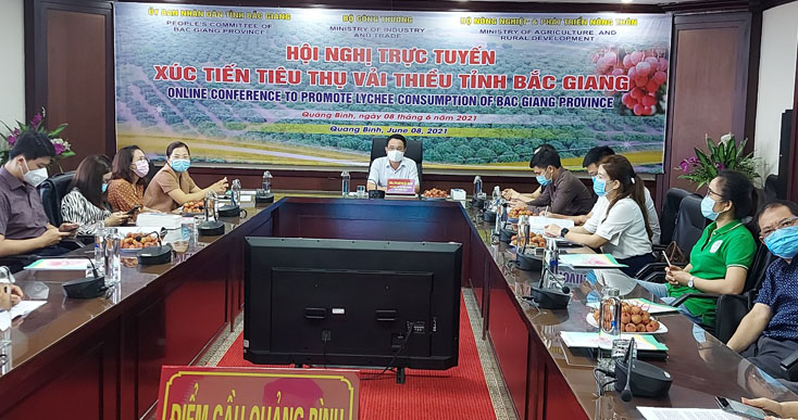 Hội nghị trực tuyến thiêu thụ vải thiều Bắc Giang năm 2021