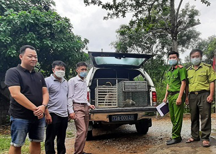 Người dân tự nguyện giao nộp động vật hoang dã