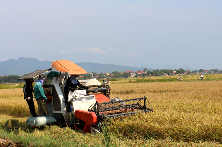 Quảng Ninh: Chủ động các phương án sản xuất vụ hè-thu