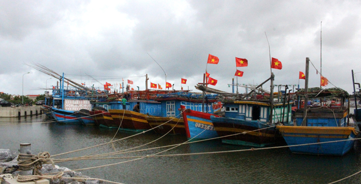 Đề xuất hỗ trợ kinh phí mua bảo hiểm cho tàu cá, thuyền viên