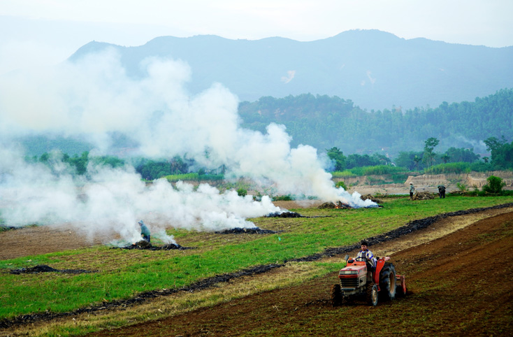 Gối vụ