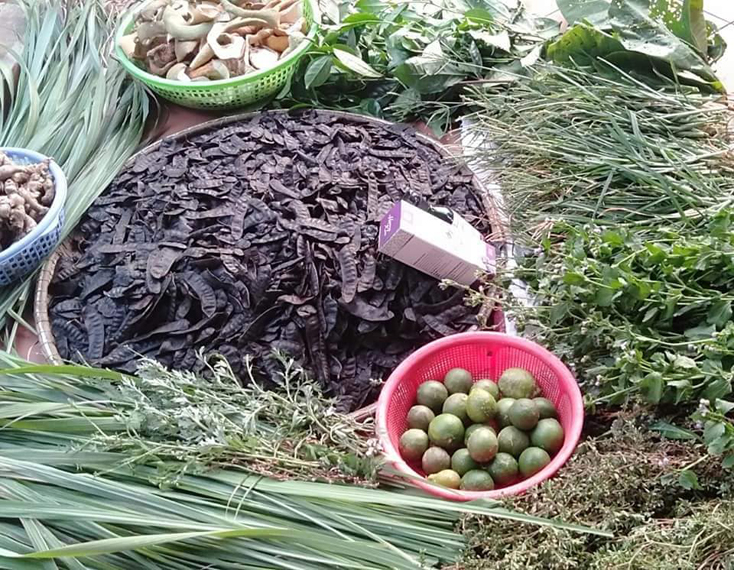 Chuyện HTX sản xuất... dầu gội đầu thảo dược