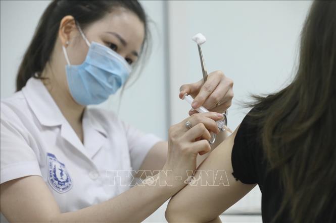 Đại diện Bộ Y tế khẳng định chỉ cấp phép khi vaccine có đầy đủ dữ liệu khoa học