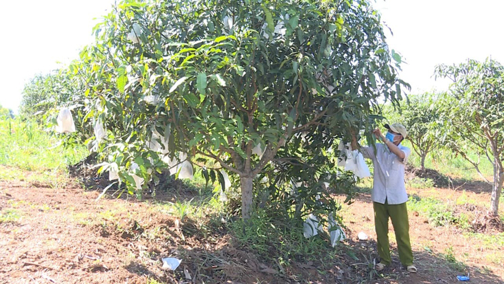Quảng Trạch: Khuyến khích phát triển kinh tế vùng gò đồi