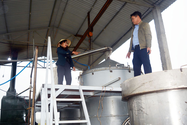Khơi dậy các hoạt động khởi nghiệp