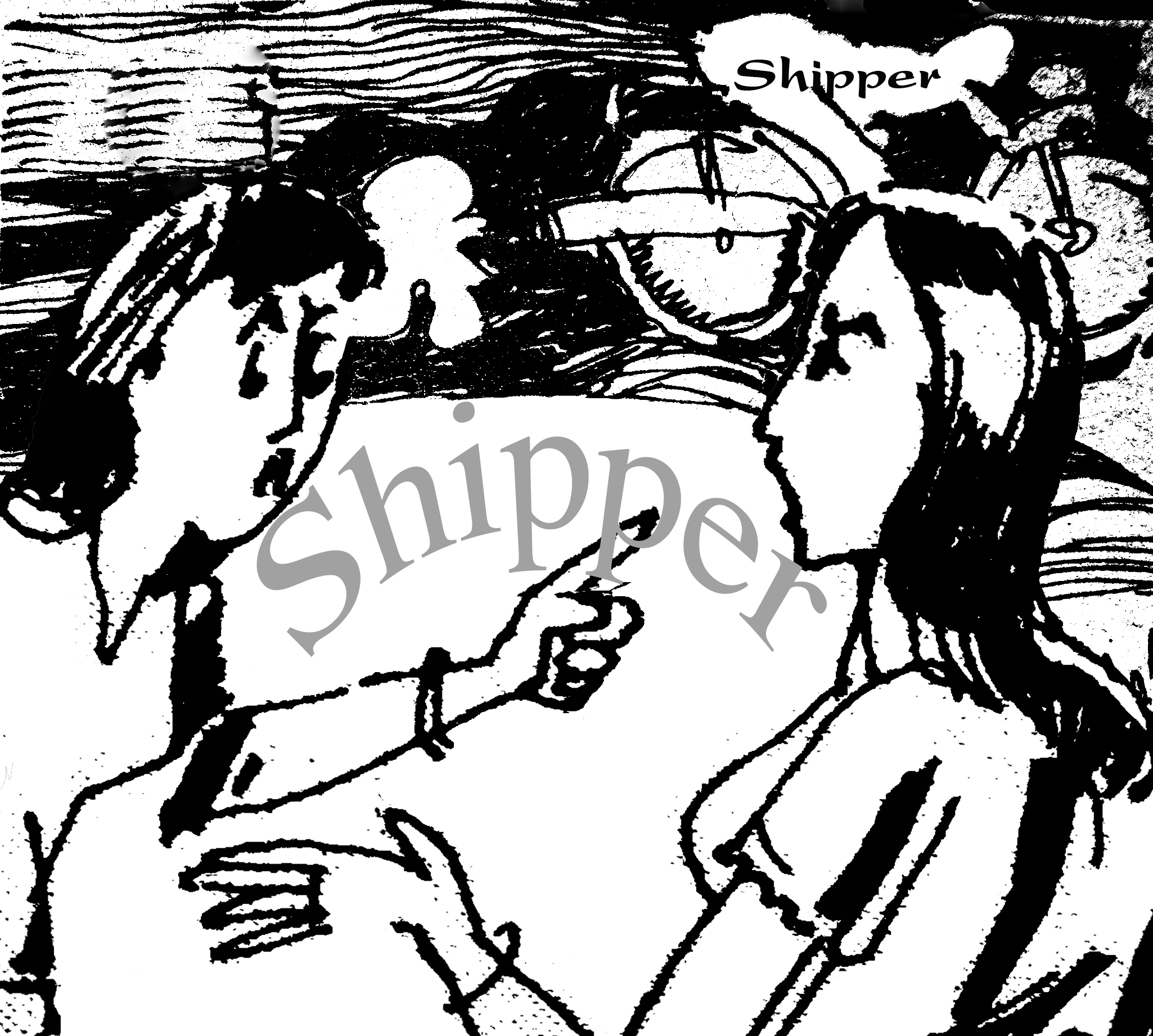 Chạy xe kiểu shipper
