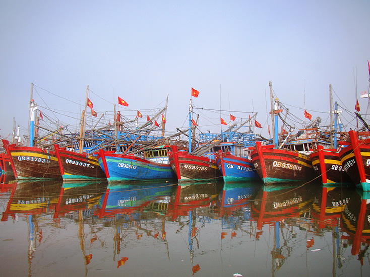 Khuyến khích người nộp thuế làm thủ tục gia hạn thuế và tiền thuê đất
