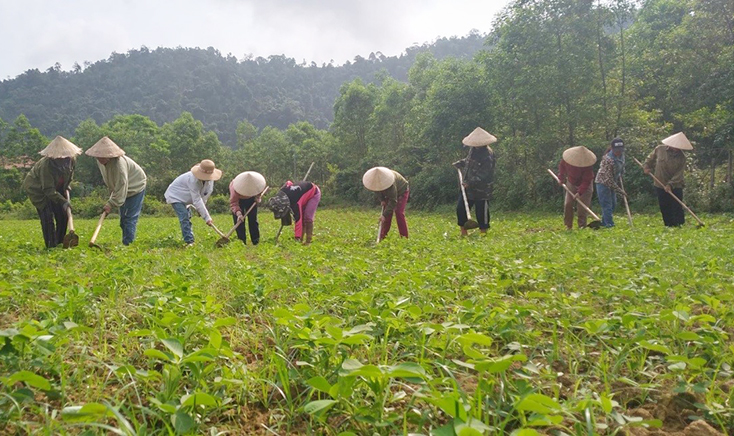 Minh Hóa: Gần 3.200 hội viên phụ nữ được hỗ trợ vay vốn phát triển kinh tế