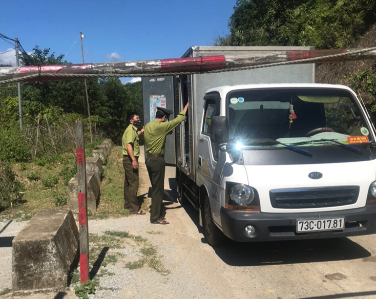 Bám chốt chặn đường vận chuyển lâm sản trái phép