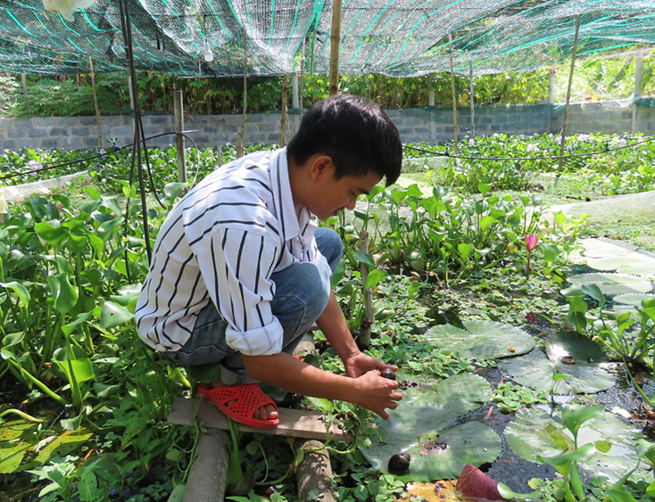Khởi nghiệp từ... ốc bươu đen