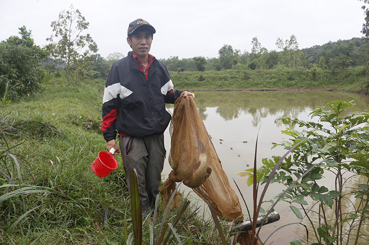 Khi thanh niên xung kích