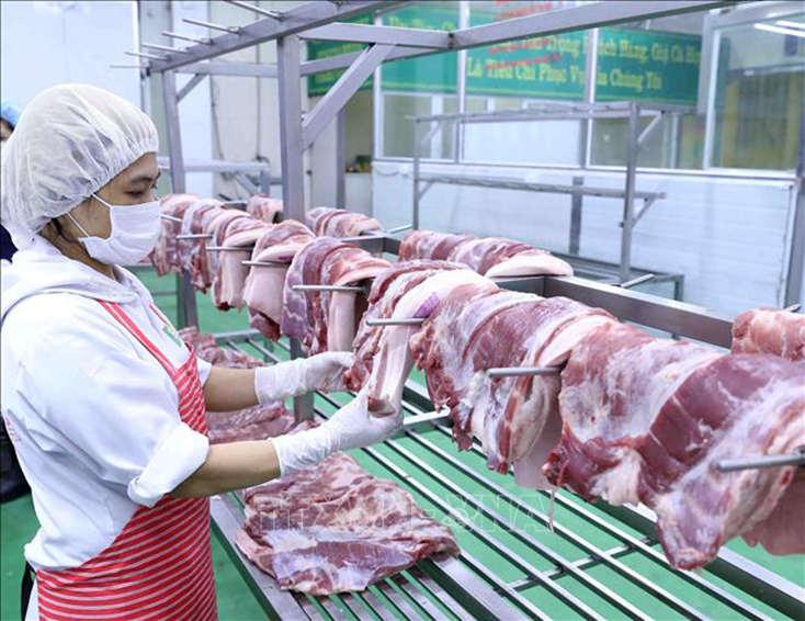 Giá lợn hơi tiếp tục giảm bất chấp việc ngừng nhập khẩu lợn sống từ Thái Lan