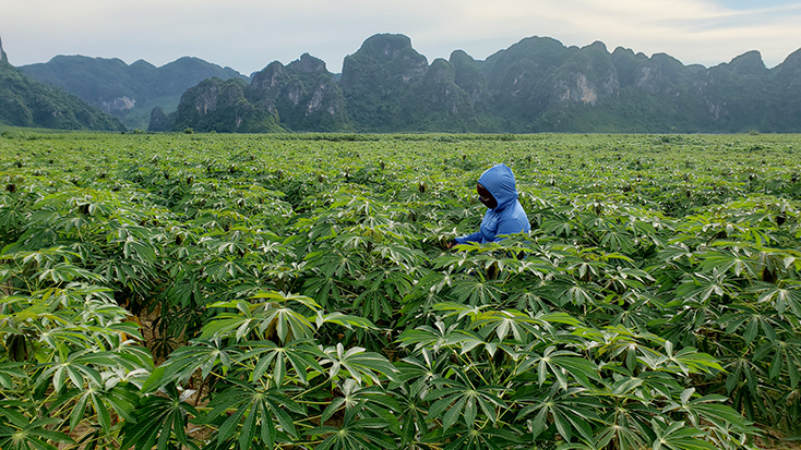 Tiêu chí thu nhập "làm khó" nông thôn mới