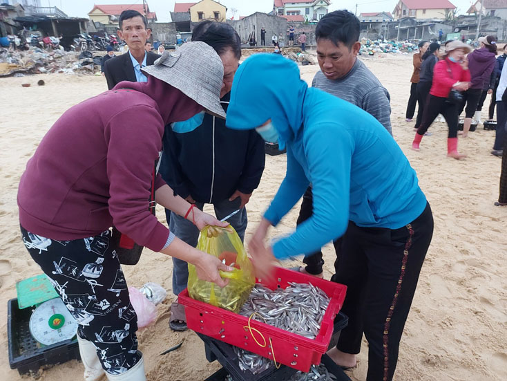 Hỗ trợ tiêu thụ sản phẩm thủy hải sản khai thác, thu mua trên địa bàn tỉnh