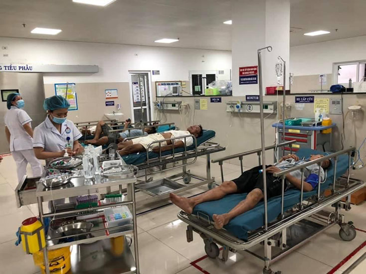 Uống nhầm rượu ngâm mã tiền, 4 người ngộ độc